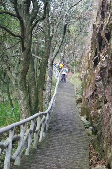 DSC08042.JPG