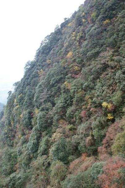 DSC08051.JPG