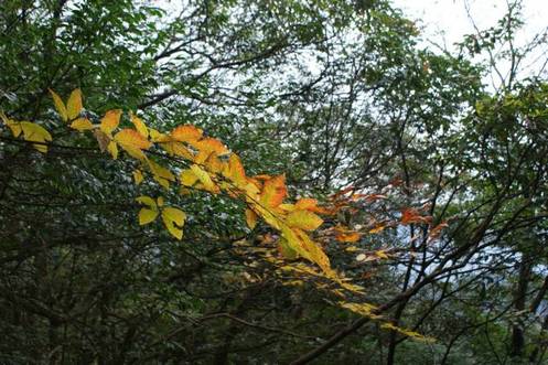 DSC08053.JPG