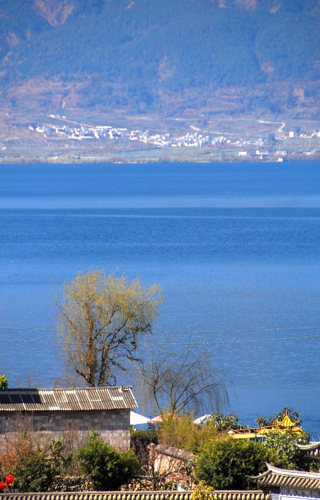 16.jpg