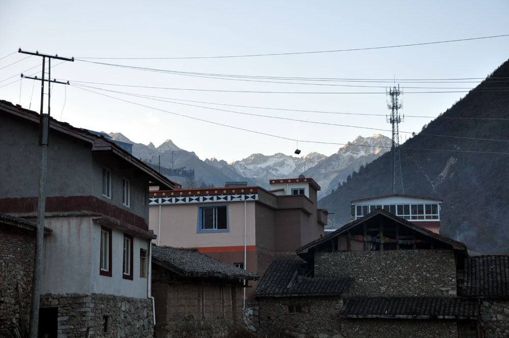 DSC_0310.JPG