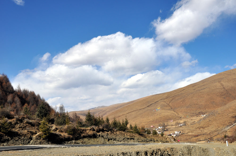 DSC_0446.JPG