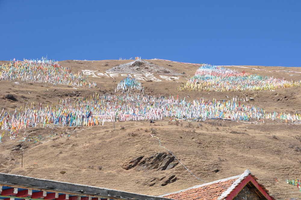 DSC_0413.jpg