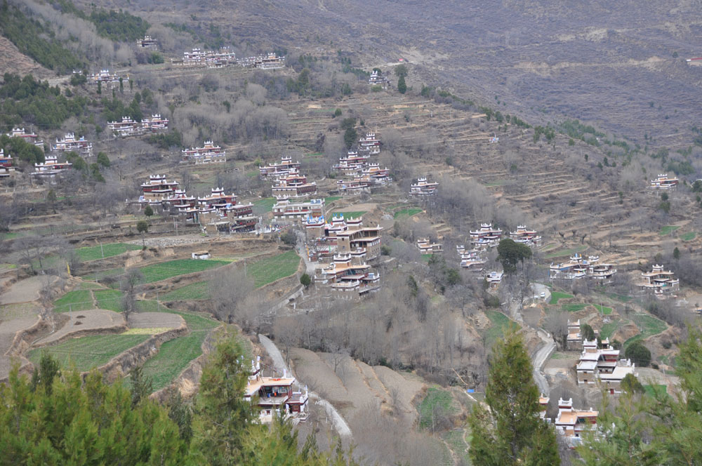 DSC_0495.JPG
