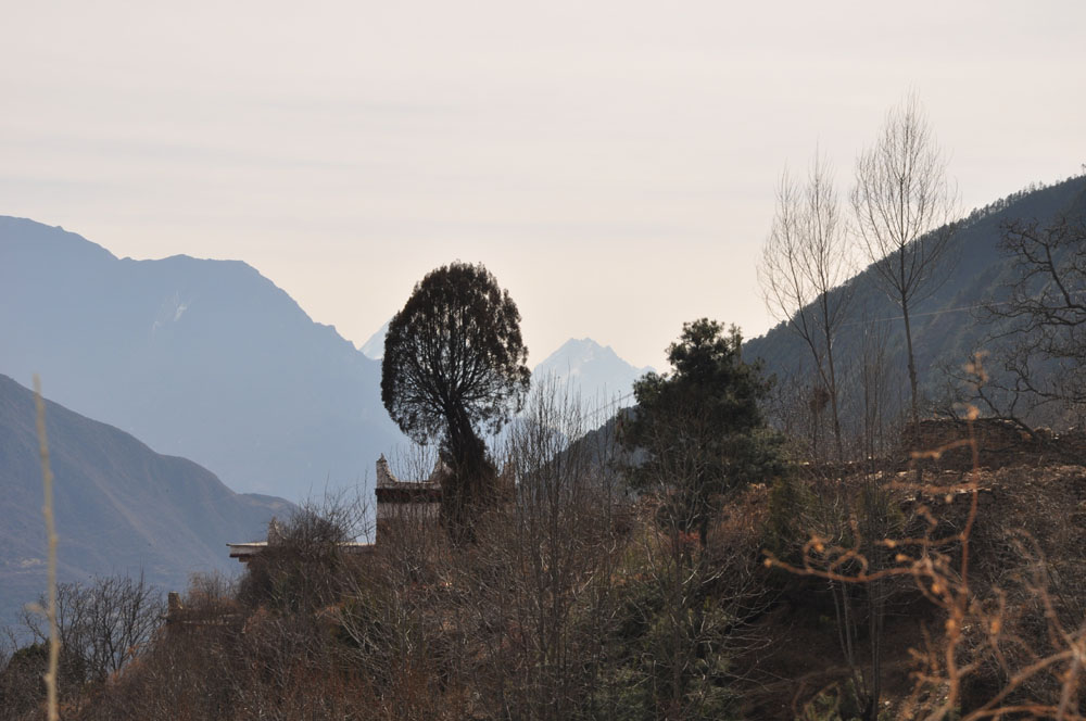 DSC_0687.JPG
