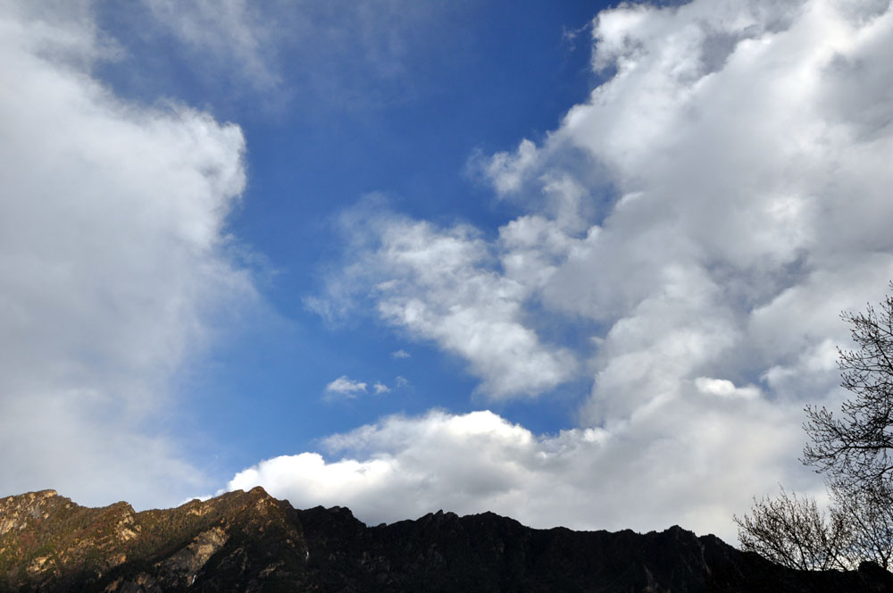 DSC_0556.jpg