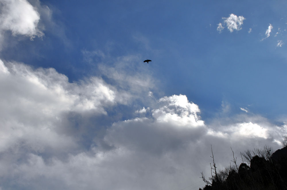 DSC_0555.jpg