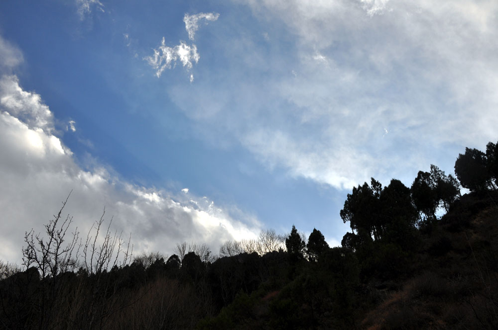 DSC_0559.jpg