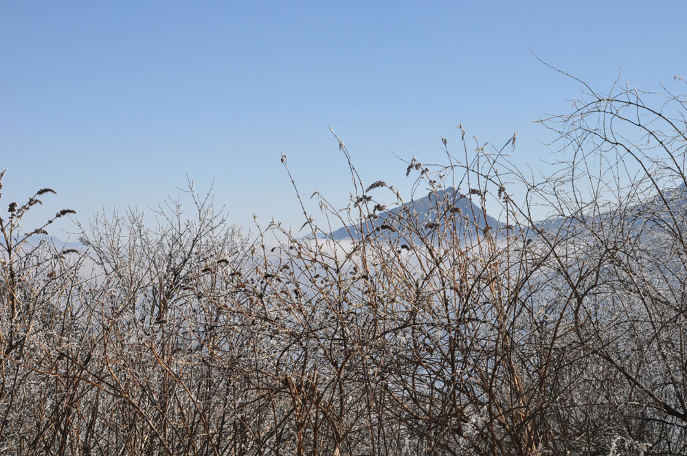 DSC_0889.JPG