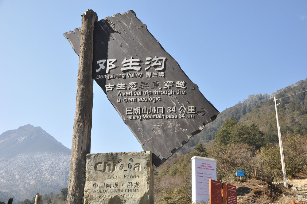 DSC_0892.JPG