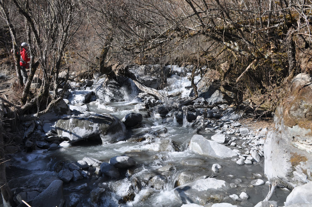 DSC_0903.JPG