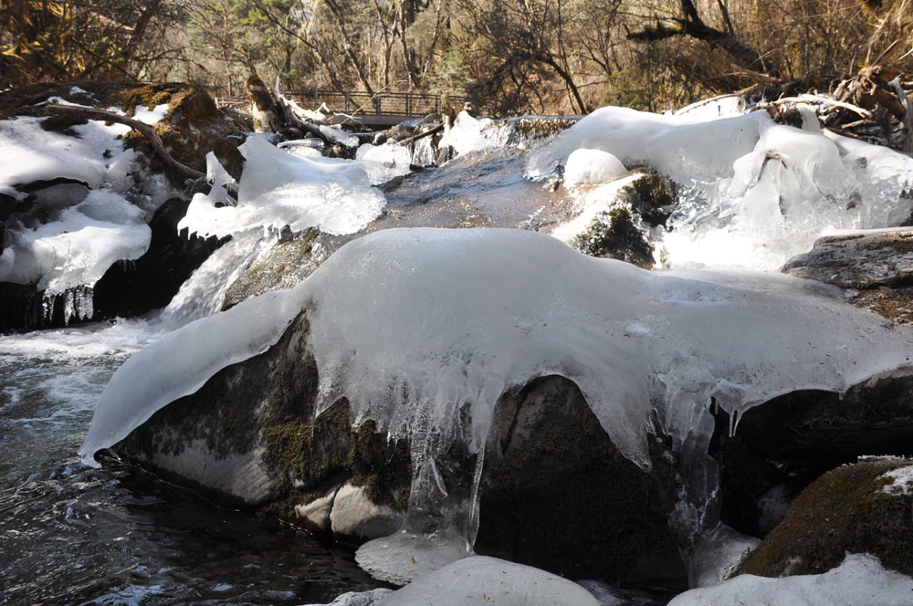 DSC_0996.JPG