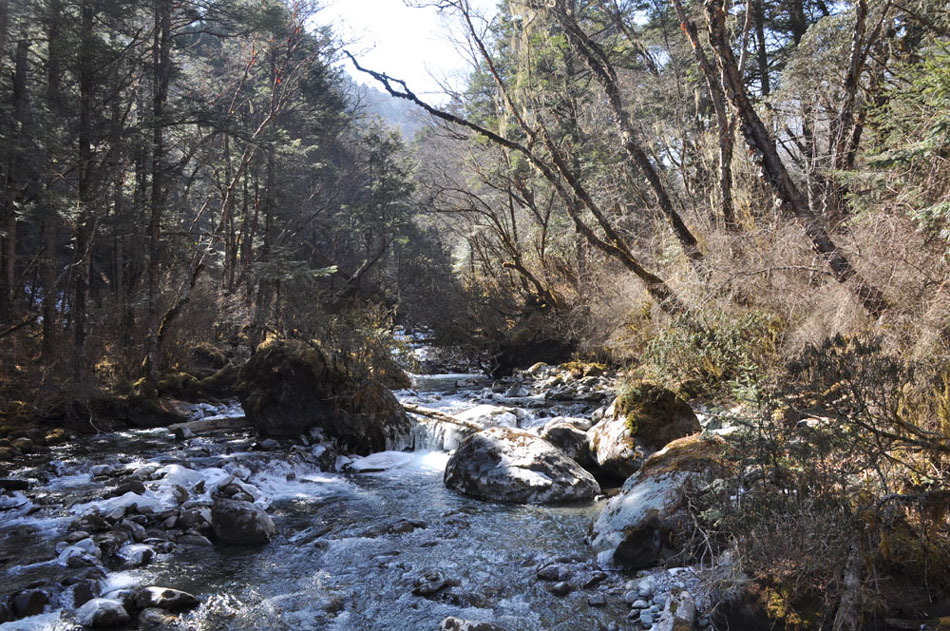 DSC_1016.JPG