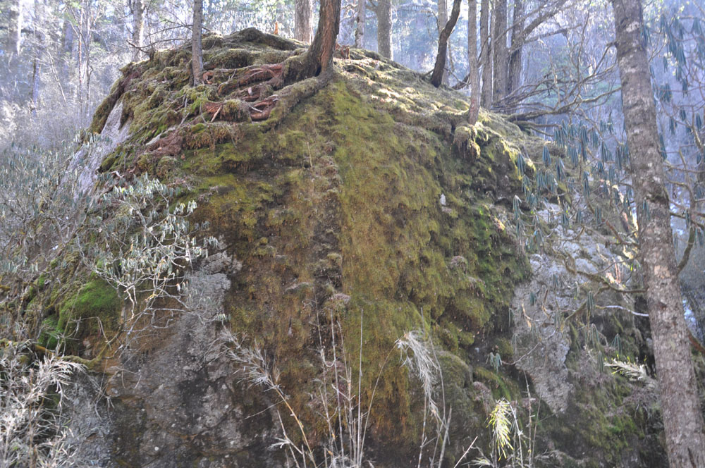 DSC_1025.JPG