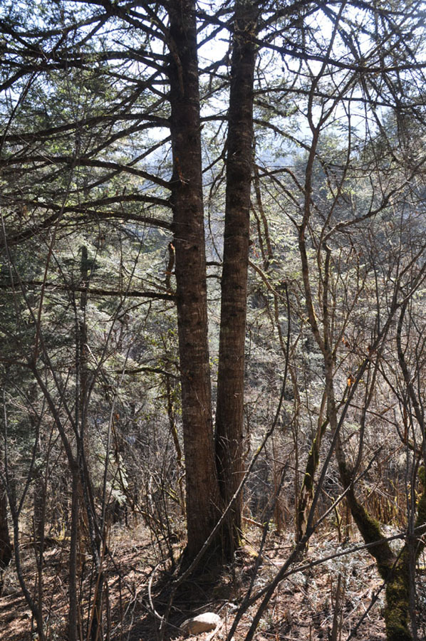 DSC_0977.JPG