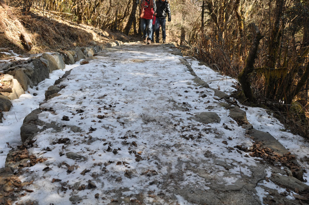DSC_0963.JPG