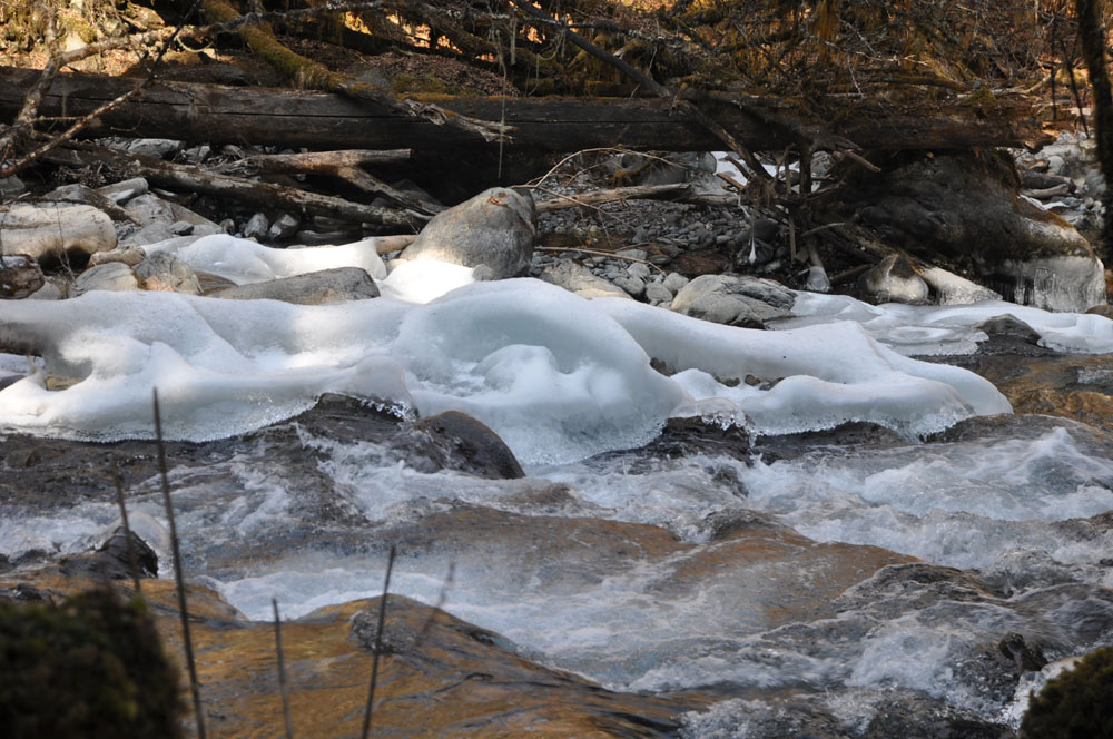 DSC_1046.JPG