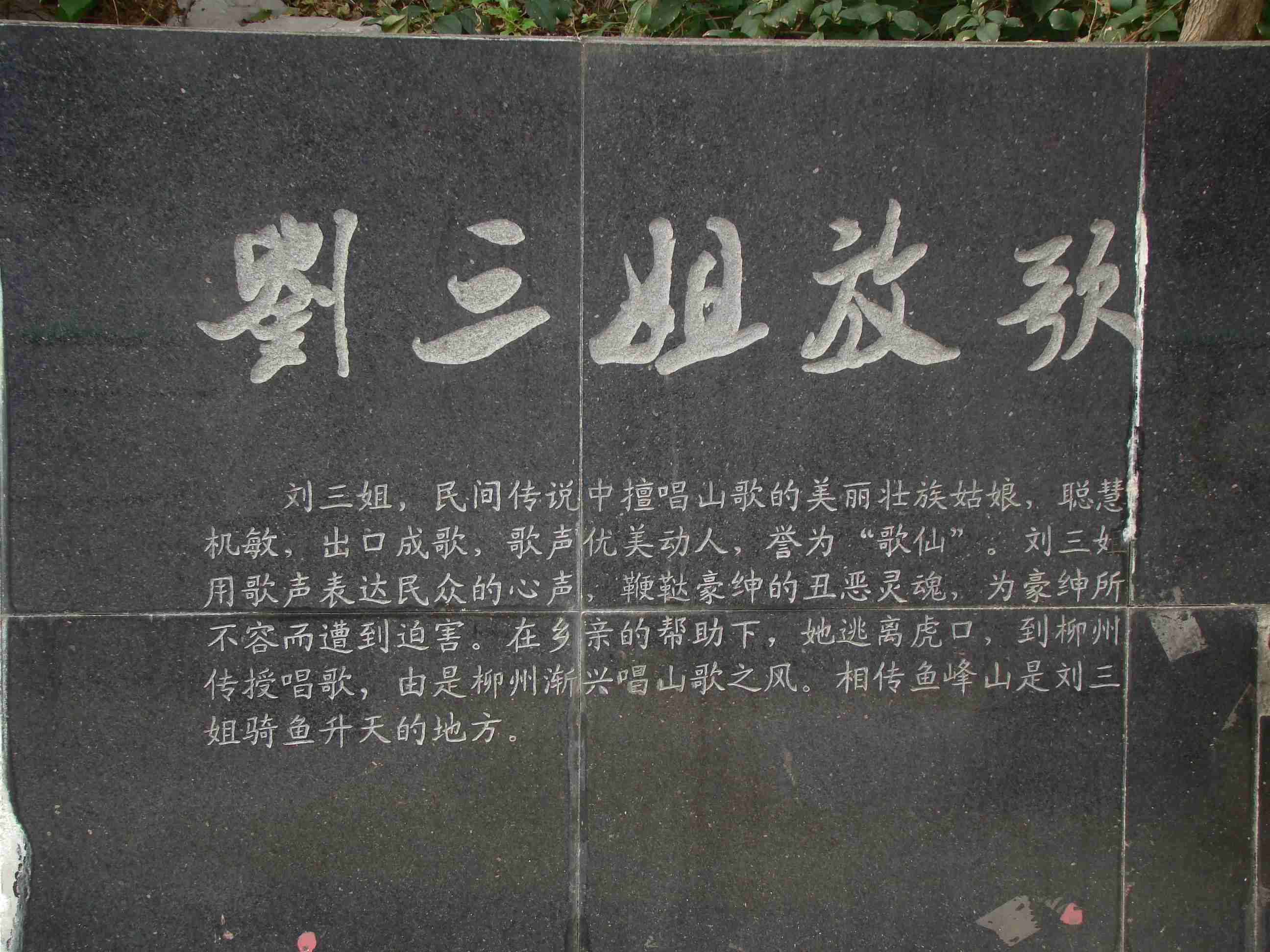 DSC09041.jpg
