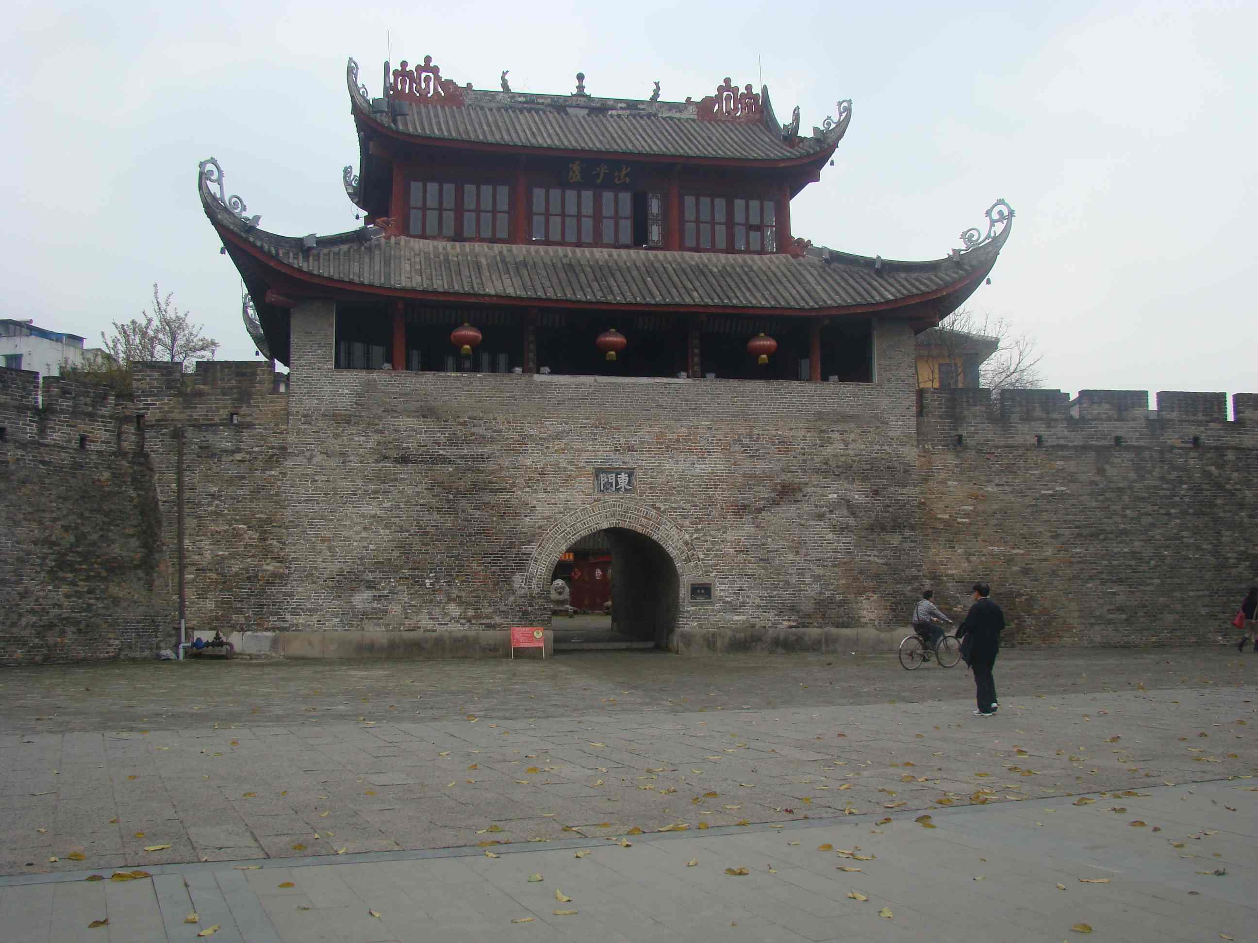 DSC09045.jpg