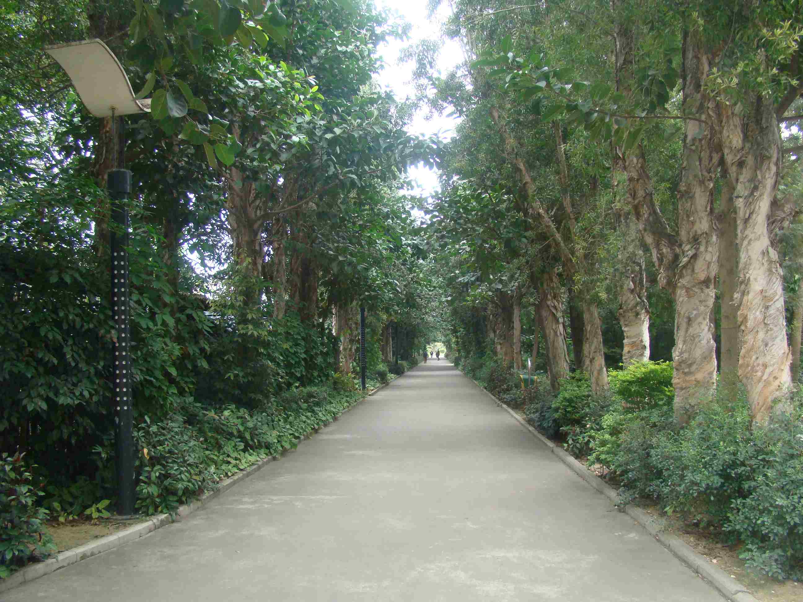 DSC09102.jpg