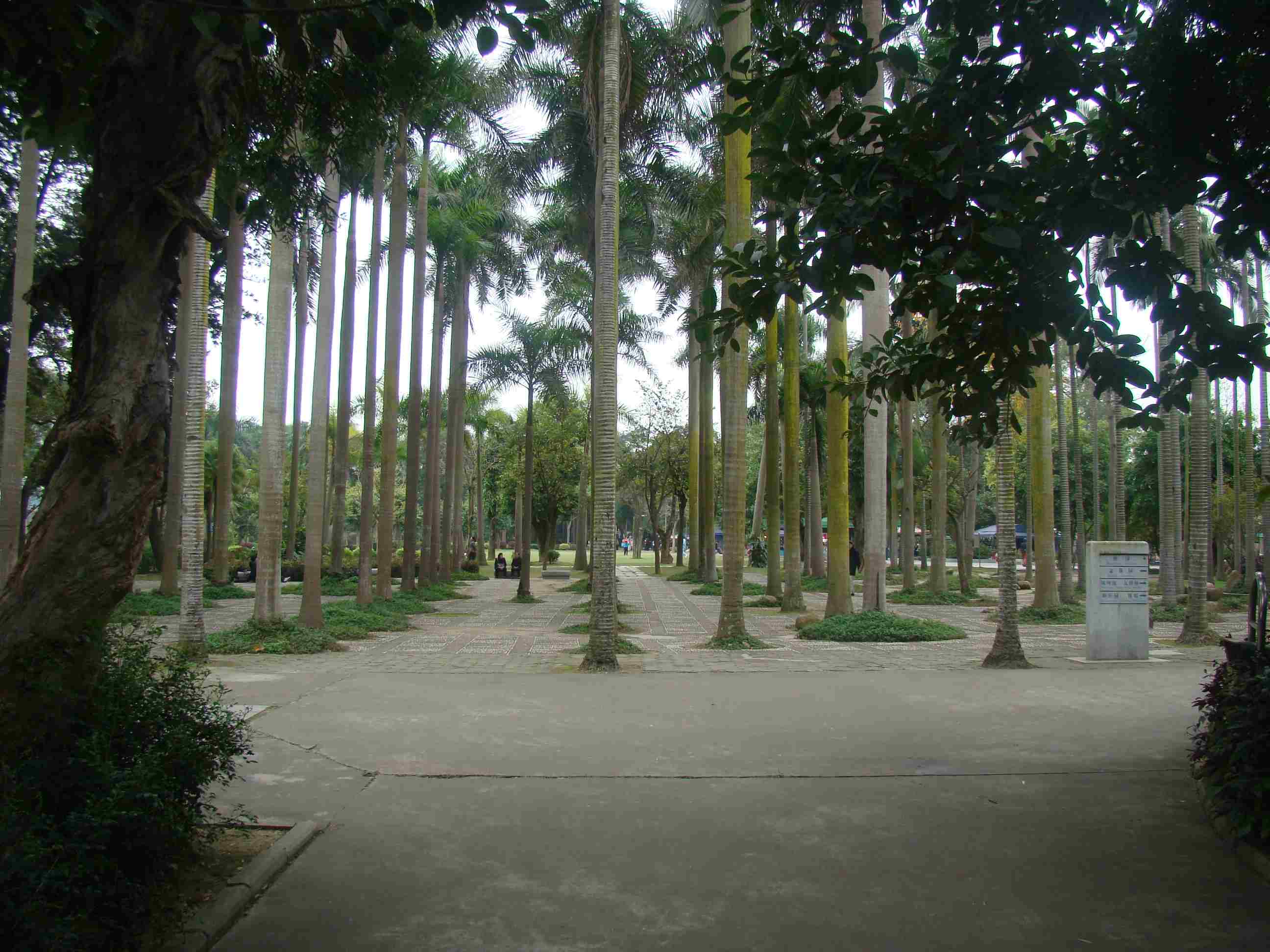 DSC09110.jpg
