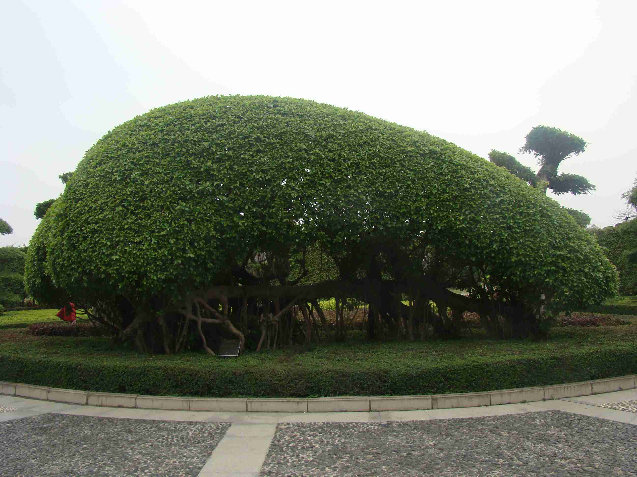 DSC09124.jpg