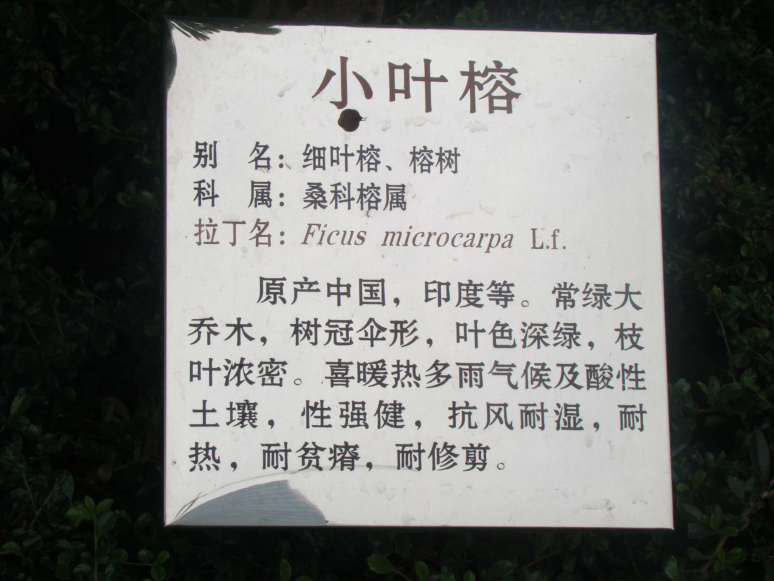 DSC09125.jpg