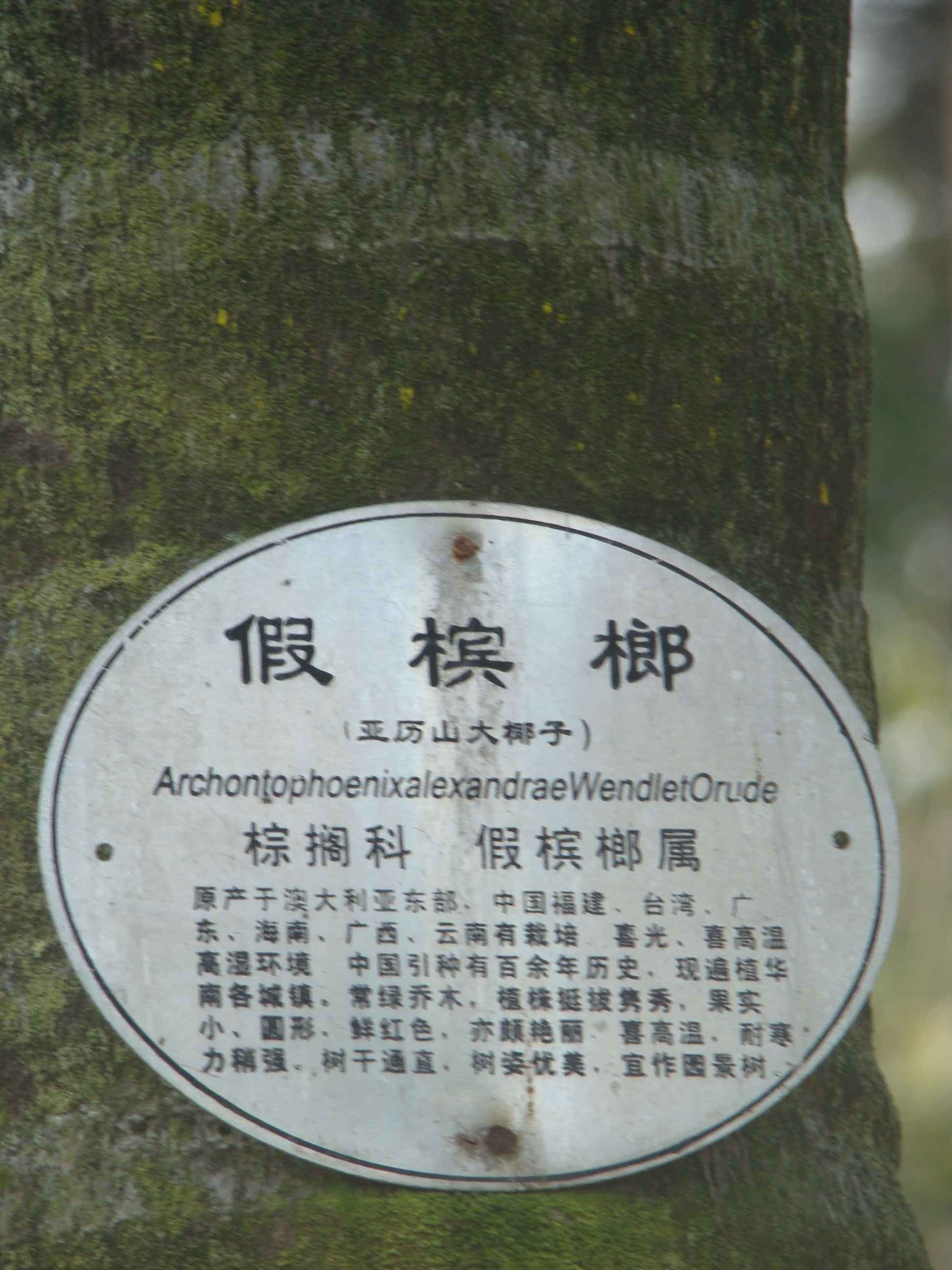 DSC09208.jpg