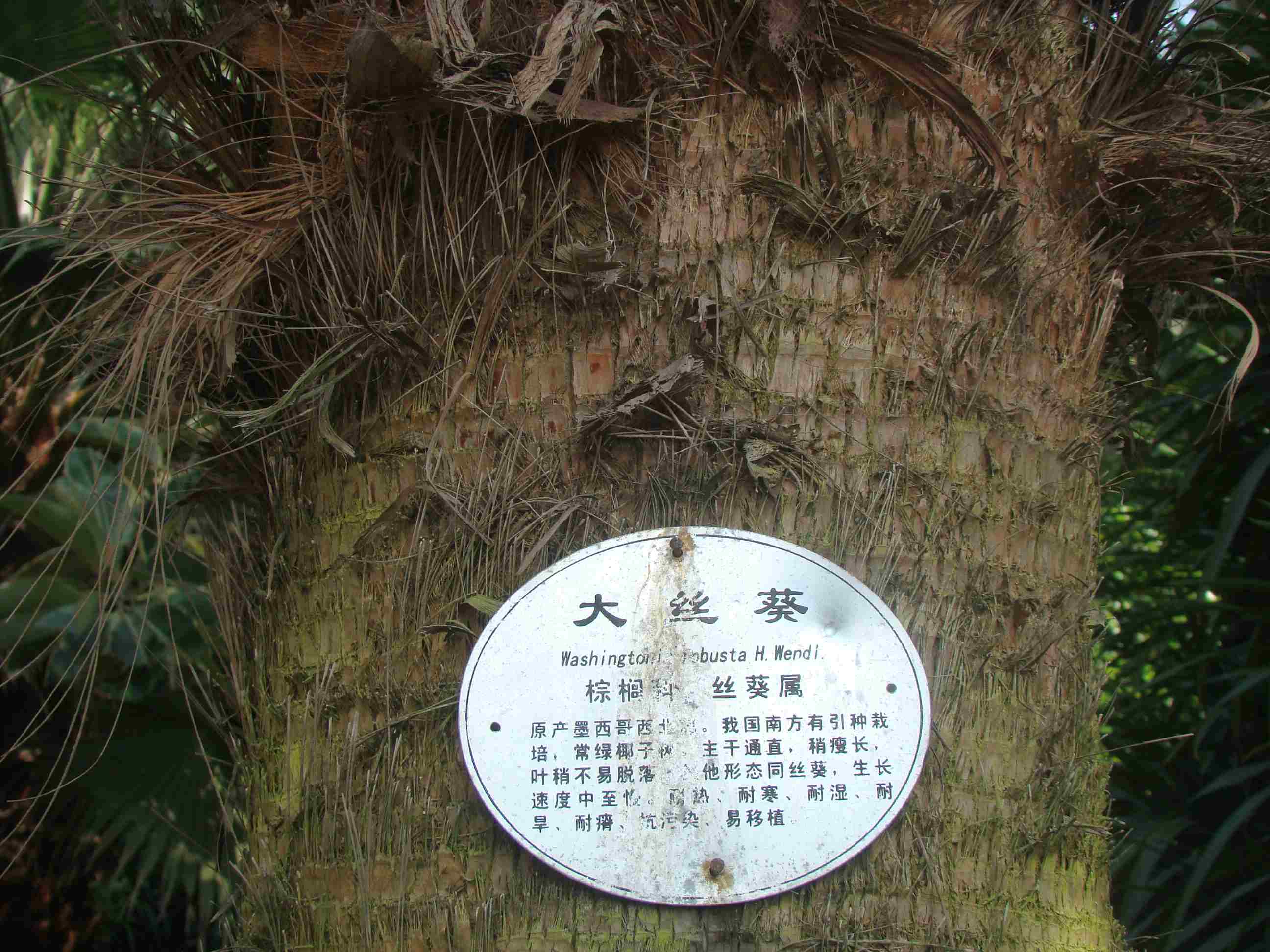 DSC09235.jpg