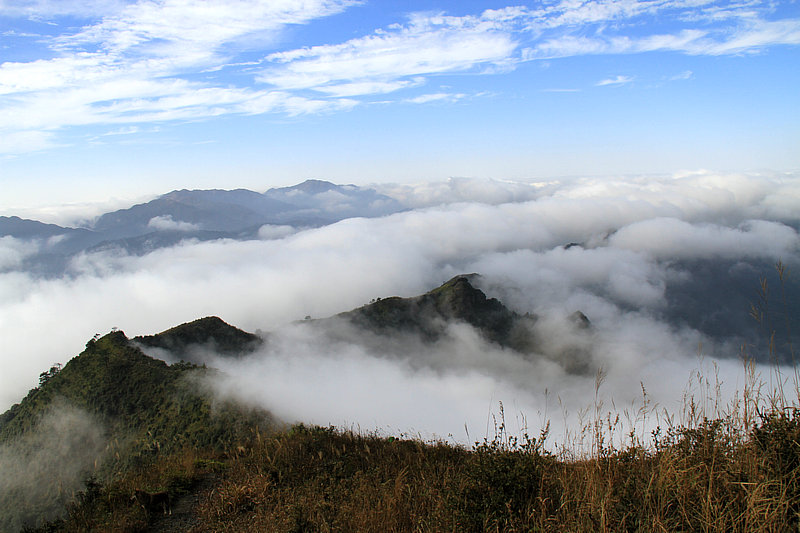 IMG_5654.jpg