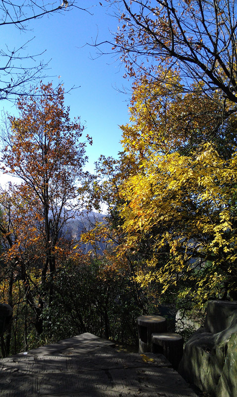 IMAG0261.jpg