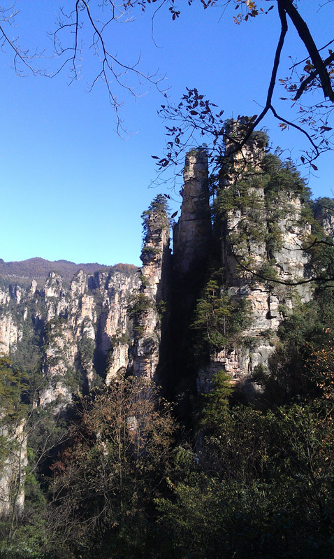 IMAG0267.jpg