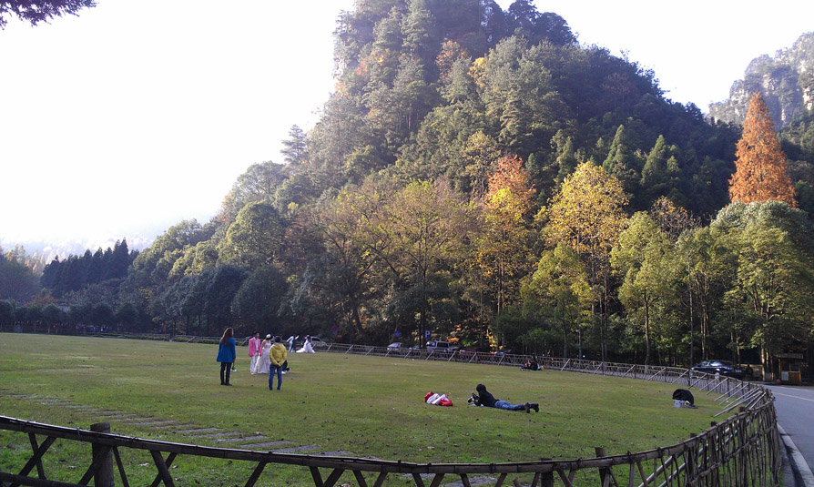 IMAG0307.jpg