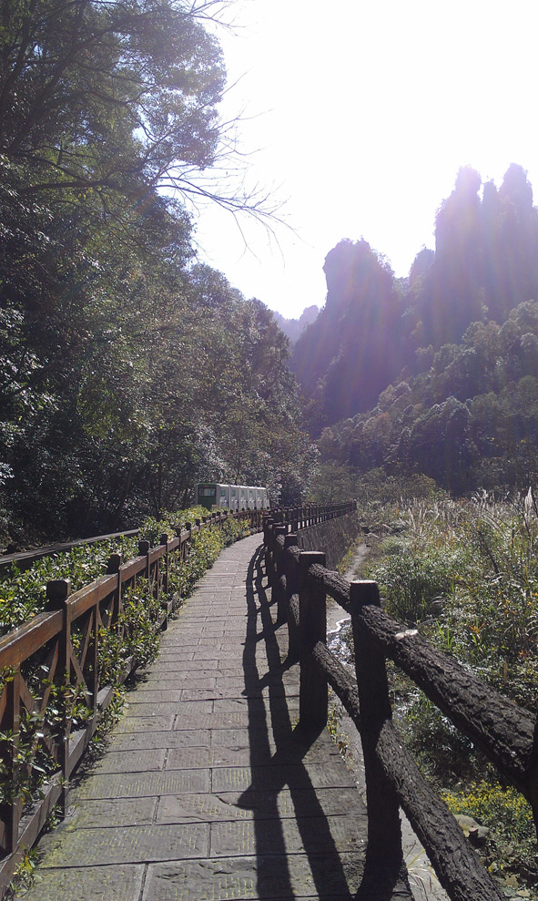 IMAG0281.jpg