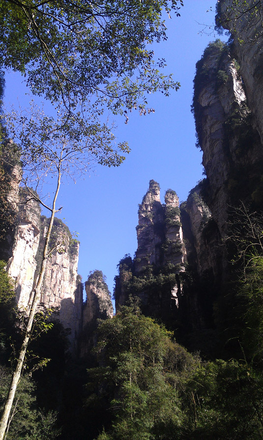IMAG0297.jpg