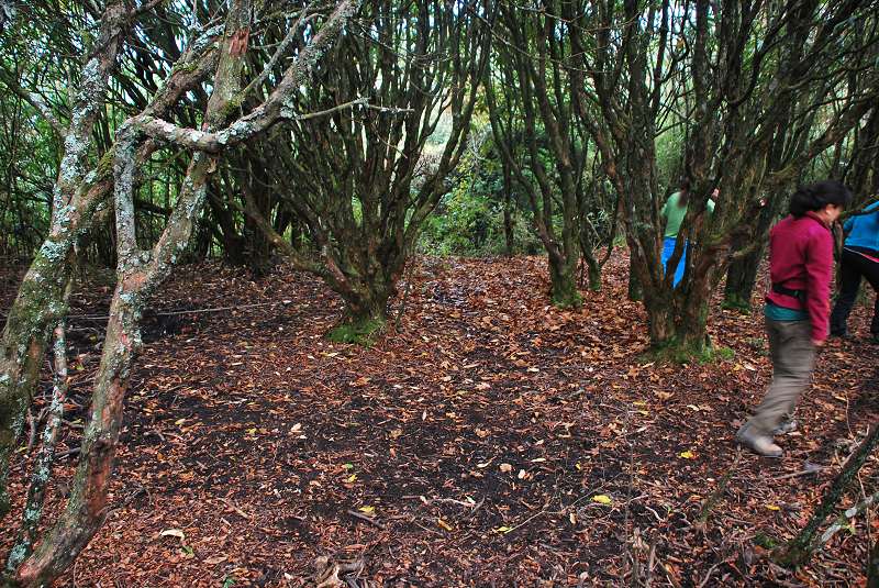 ��������֡������´���������ѡӪ��.jpg