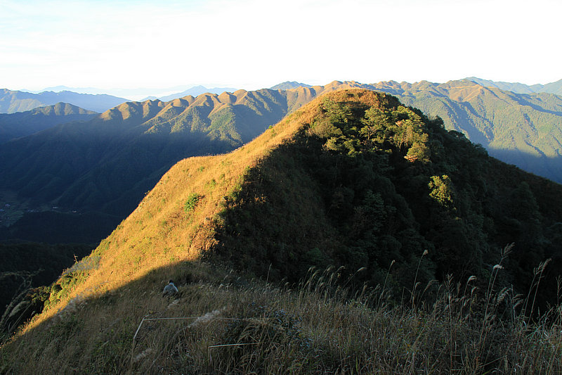 IMG_6062.jpg