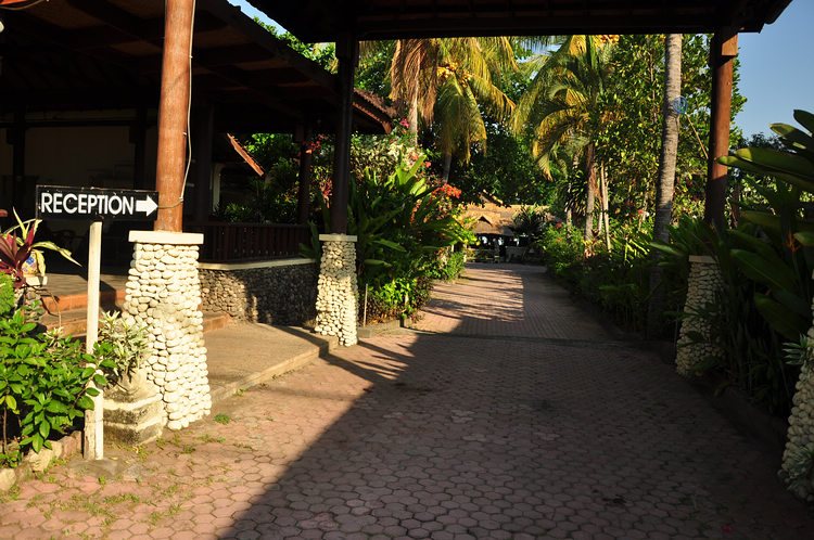 DSC_6915.JPG