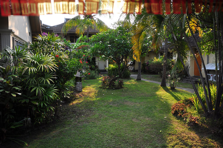 DSC_6370.JPG