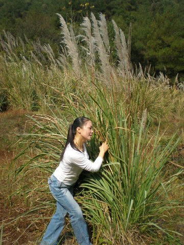 PB070139.JPG