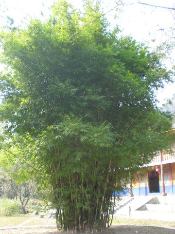 PB070148.JPG
