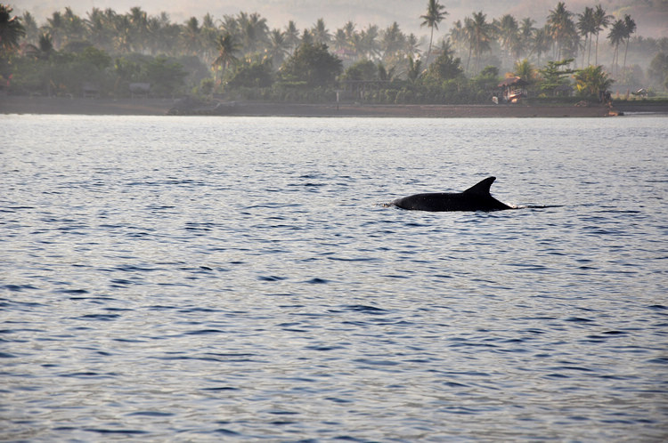DSC_6730.JPG