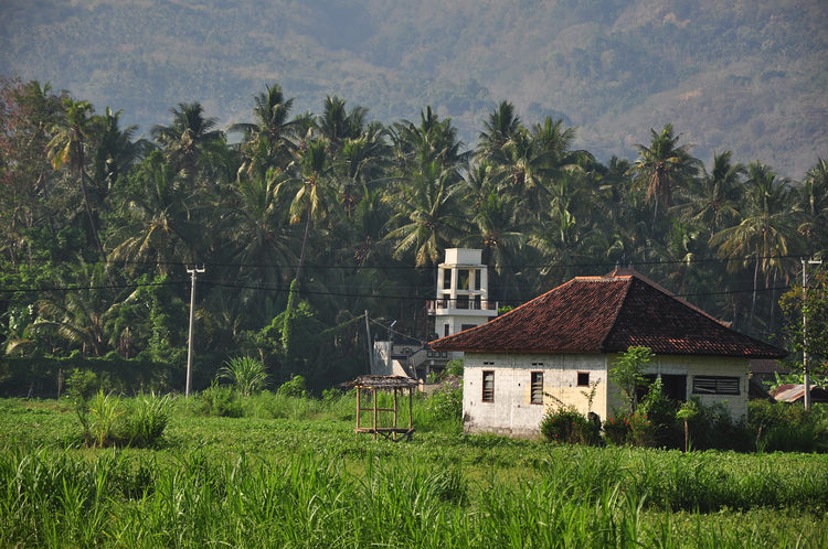 DSC_6923.JPG