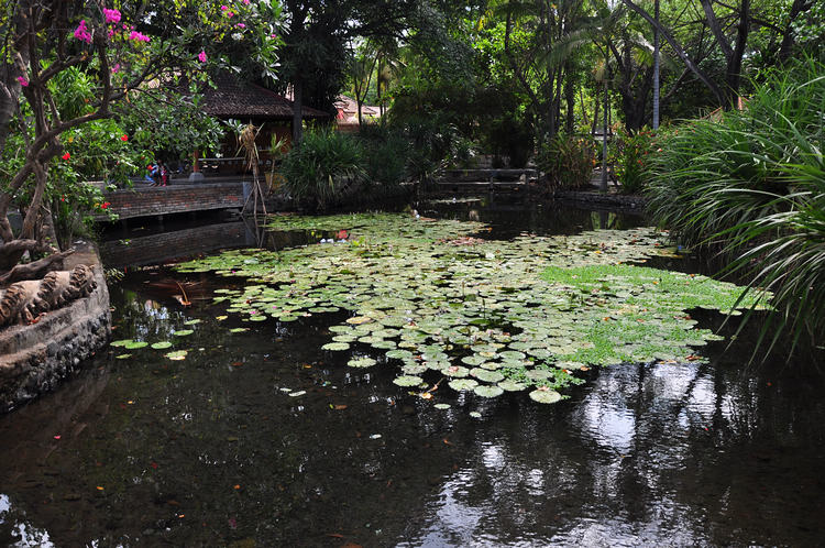 DSC_7519.JPG