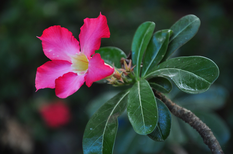 DSC_7542.JPG