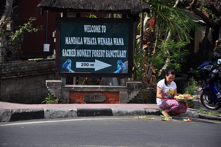 DSC_8106.JPG