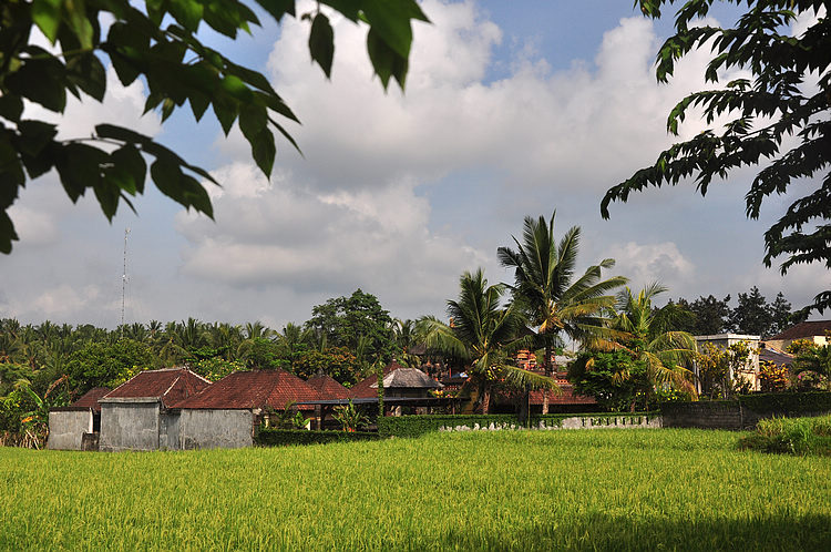 DSC_8557.JPG