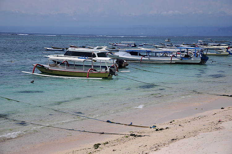 DSC_8715.JPG