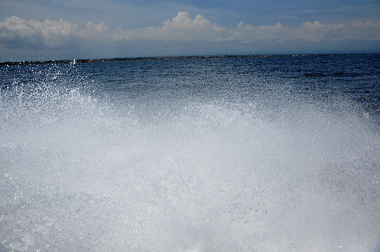 DSC_8691.JPG
