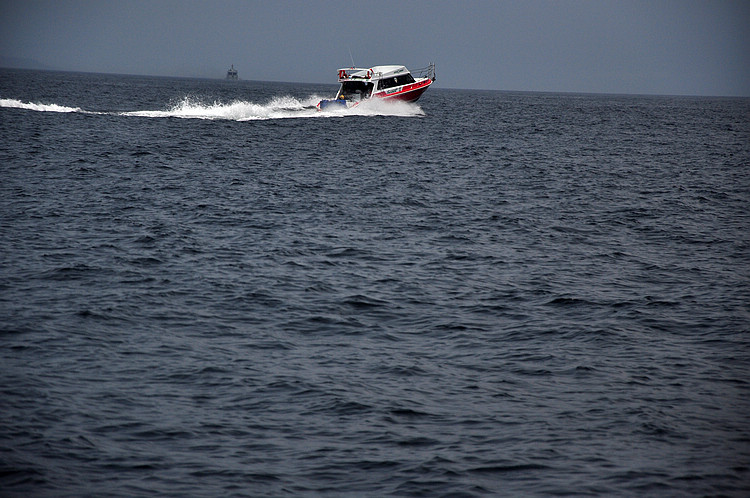 DSC_8694.JPG